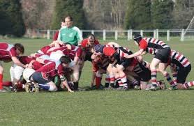 Image result for Novocastrians Rugby Football Club