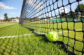 Image result for Reigate Priory Lawn Tennis Club