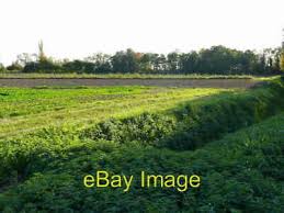 Image result for Holbeach and Fenland