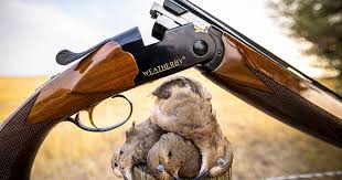 Image result for Orion Bowhunters