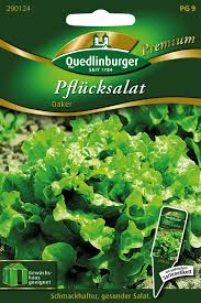 Image result for Pflücksalat