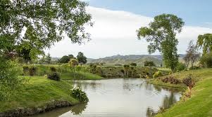 Image result for Marlborough and District Tri-Club