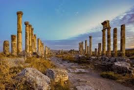 Attēlu rezultāti vaicājumam “Apamea ophiogramma”