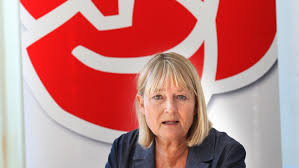 Image result for Amelia Andersdotter