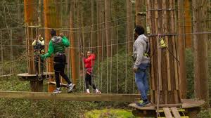 Image result for Go Ape! Whinlatter