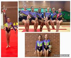 Image result for WALSALL GYMNASTICS CLUB