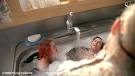 kate winslet home sex tape