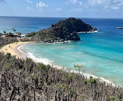 Image result for fernando de noronha
