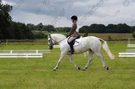 Image result for Cotswold Badminton Club