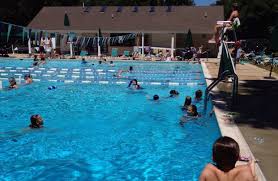 Image result for Ledbury & District Amateur Swimming Club