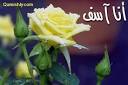 زهرة بين الزهور اتحداك تشوفها ...... Images?q=tbn:ANd9GcSyszrGj7JMgDA35ng0T8IihirwvWId86I5KE11rLp7rlODFF74TrCfro1l