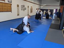 Image result for Coldharbour Aikido Club