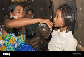 Kuvahaun tulos haulle Rochom