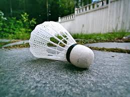 Image result for Oakgate Badminton Club