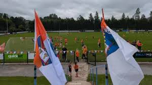 Image result for Ballyhegan Davitts Gaa Club