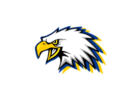 Image result for White Eagles Volleyball Club