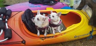 Image result for Pangbourne Canoe Club