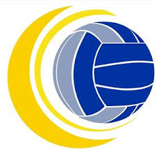 Image result for Icons Netball Club