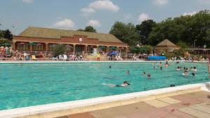 Image result for Hitchin Swimming Club