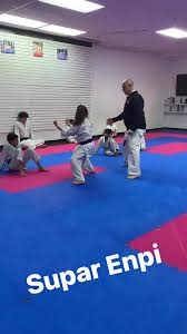 Image result for enpi dojo