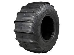 Image result for sand paddle tyre