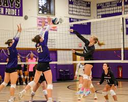 Image result for Aberlady Bays Volleyball Club