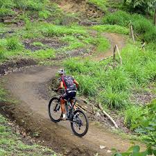 Image result for Epping Forest Mountain Bike Club
