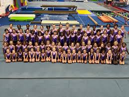 Image result for Ingleby Gymnastics Club