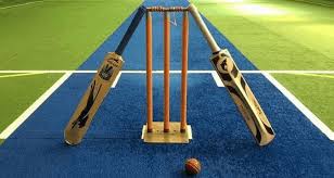 Image result for Long Ditton Cc