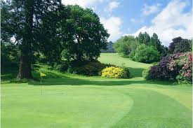 Image result for Newton Abbot Somersaults Gc