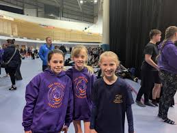 Image result for Wessex Flyers Trampoline Club
