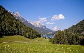 「花咲めぐみ ぼくのなつやすみ3」の画像検索結果