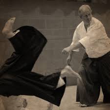 Image result for Southport Muto Aikido Club
