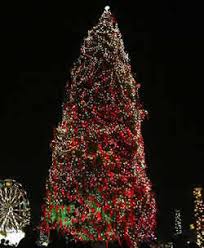 مجموعة صور لأجمل ـشجرة عيد الميلاد - صفحة 2 Images?q=tbn:ANd9GcSyzIQp-kOfBYZGePfYZ3gISQzYQqWubHRJ76ue1aXqT4YBhdZ_