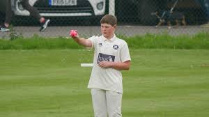 Image result for Wrecclesham Cricket Club