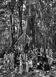 Image result for sebastiao salgado