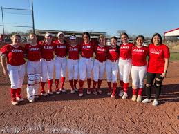 Image result for Lions Softball Club