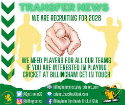 Image result for Billingham Synthonia Cricket Club