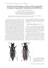 Attēlu rezultāti vaicājumam “Quedius dilatatus”