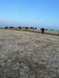 Attēlu rezultāti vaicājumam “anticrepuscular rays”