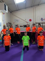 Image result for Gymmagic