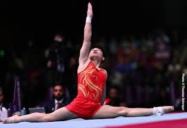 Image result for Olga Gymnastics & Trampoline Club