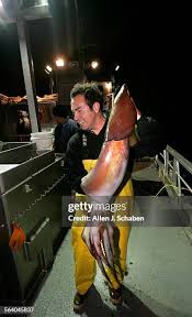 Image result for Dosidicus gigas