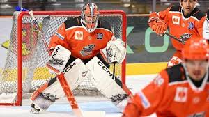 Image result for Sheffield Steelers