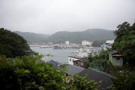 「九鬼嘉隆 織田信奈の野望」の画像検索結果