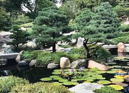 Image result for japanese gardens...