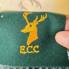 Image result for Eastnor Cricket Club
