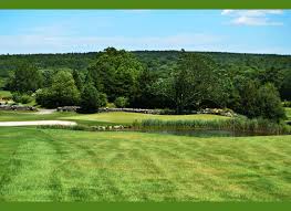 Image result for Fenner Bowling Club