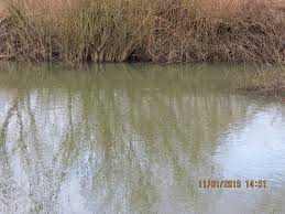 Image result for Plough Angling Society