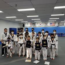 Image result for White Tiger Martial Arts